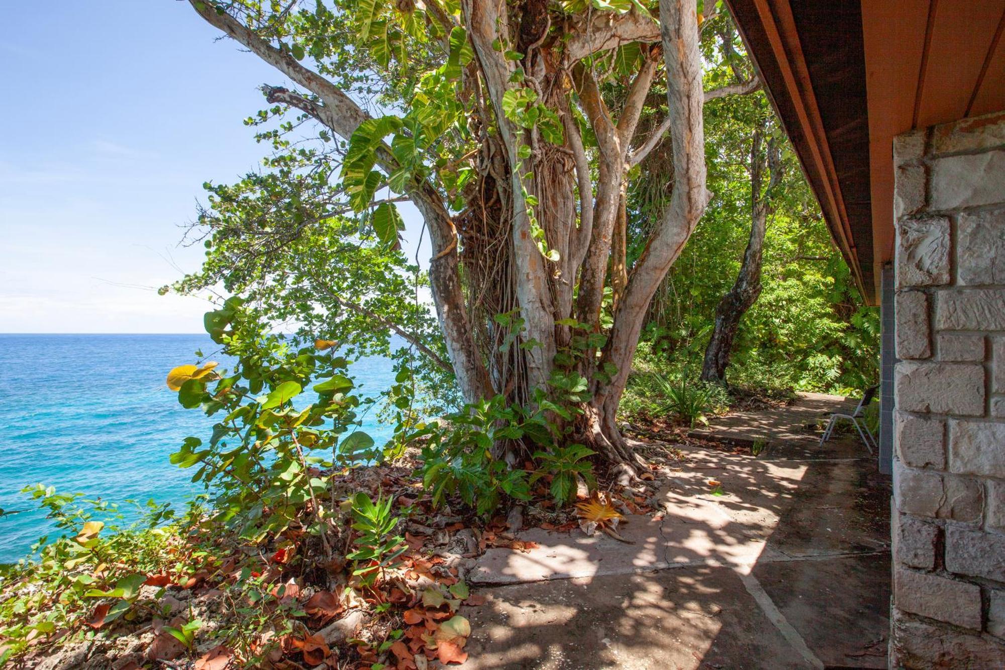 Frenchman'S Cove Resort Port Antonio Dış mekan fotoğraf